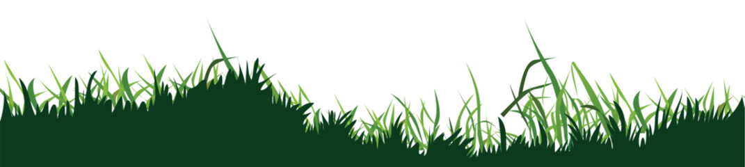 Fototapeta premium Smooth border of Realistic green grass.