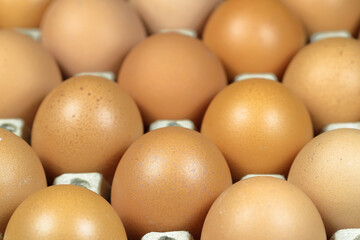 raw of chicken eggs in egg box in nature light