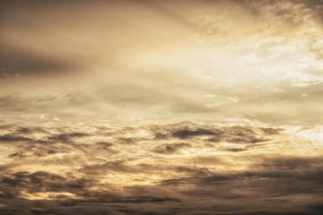 The sparkling golden sky is beautiful with light shining through in the background.