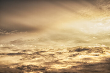 Obraz premium The sparkling golden sky is beautiful with light shining through in the background.