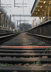 Railway iron rails from the low perspective. Railroad tracks with limited depth of focus, The...