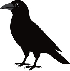 Illustration of a crow in black color isolated on a white background