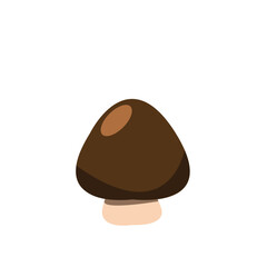 Champignon des forets 