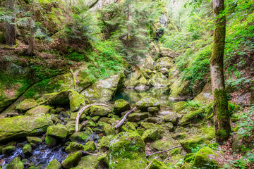 Fototapeta premium Mystic wilderness and breathtaking beauty of nature in Stillensteinklamm near Grein in Upper Austria