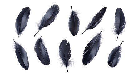 ten black feathers arranged in a grid-like pattern. Each feather has a slightly different shape and size, with some being more curved or pointed than others