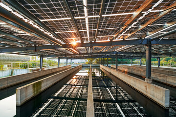 Industrial wastewater treatment plant pool