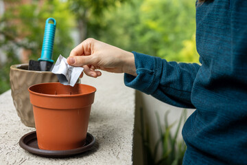 Young woman planting seeds in ceramic pots on home balcony. Concept of home garden. Taking care of home.