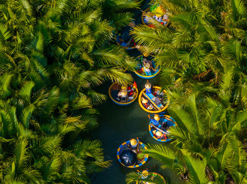 Aerial view of a coconut village basket boat tour. Palms forest in Hoi An ancient town, Cam Thanh, Vietnam. Tourists having an excursion and fun in Thu Bon river.