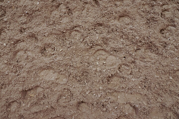 Background Sand of a Horse Riding Arena