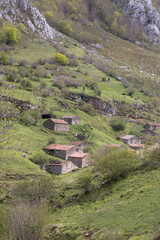 Picos de Europa (Asturias)