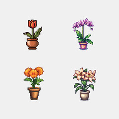8-bit game assets flower, plant, pot, flowers, blossom, nature, pink, spring, isolated, orchid, hyacinth, leaf, flowerpot, bloom, floral, purple, garden, petal, flora, decoration, gardening, beauty, b