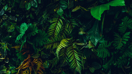 Close up group of background tropical green leaves texture and abstract background. Tropical leaf nature concept.