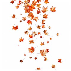 Autumn Falling Maple Leaves. Vibrant, Colorful, and Airy. AI generated image white background or wallpaper