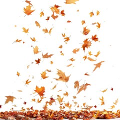 Autumn Falling Maple Leaves. Vibrant, Colorful, and Airy. AI generated image white background or wallpaper