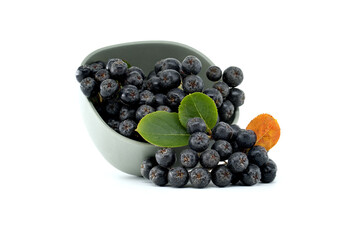 Fresh black chokeberry berries with green and orange leaves isolated on white background