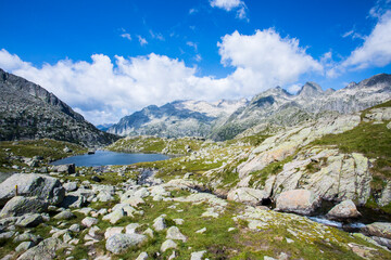 Summer landscape in Vall de Boi in Aiguestortes and Sant Maurici National Park, Spain