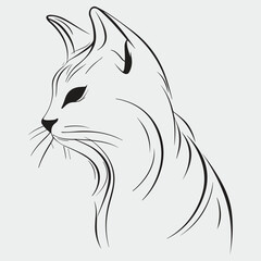 Illustration of a cute cat