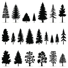 Obraz premium pine trees vector flat illustration