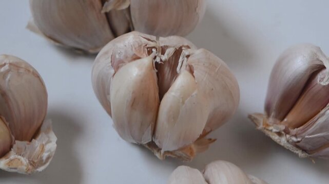 Garlic bulb isolated. Garlic on white background. Purple garlic bulb collection. Set with clipping path.