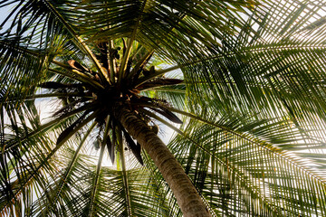 Fototapeta premium 2024-Colombie-2599