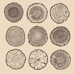 Growth ring illustration. Growth ring drawing. Growth ring tree hand drawn. Tree trunk cut illustration. Cut timber