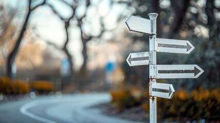 white pole 6 way white signpost blur road tree background