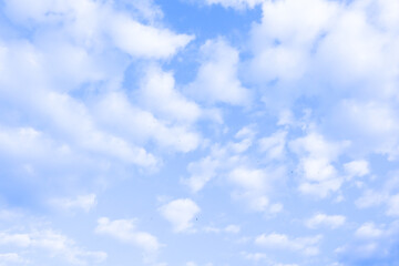 Fluffy cloud with blue sky in morning.