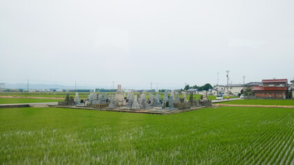 Glimpses of Japan, near Lake Biwa, from the Shinkansen