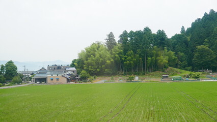 Glimpses of Japan, near Lake Biwa, from the Shinkansen
