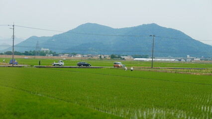 Glimpses of Japan, near Lake Biwa, from the Shinkansen