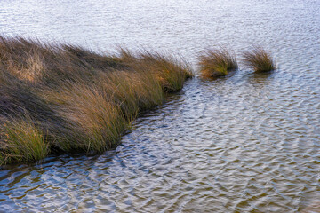 Manteo on Roanoke Island in Outer Banks, North Carolina, USA