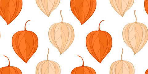 Seamless pattern with orange and beige cape gooseberry. Hand drawn botanical illustration of physalis 