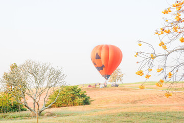 Obraz premium Halloween Pumpkins Hot air balloon over yellow flower fields against blue sky,Colorful Hot air balloons flying over the valley with blue sky,Travel and Tourism concept.