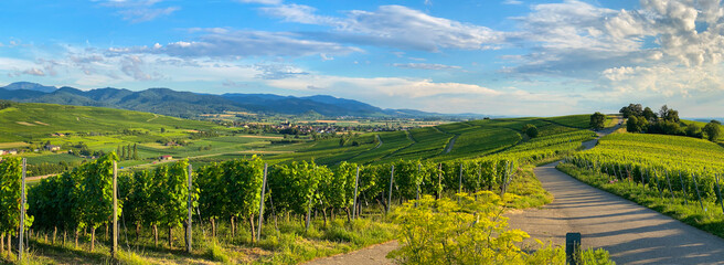 Kirchhofen_6251