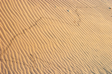sand dunes in the desert