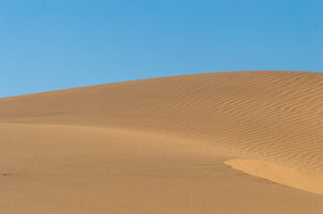 sand dunes in the desert