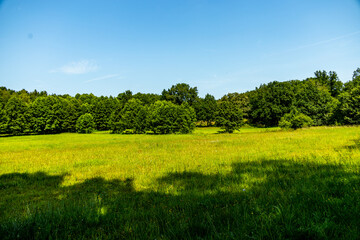 Ein herrliche Wanderung durch die einzigartige und farbenfrohe Landschaft der Behringer Heide - Bispingen - Niedersachsen - Deutschland