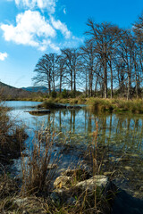Quiet backwater in a clear lake, trees without leaves on the shore of a reservoir