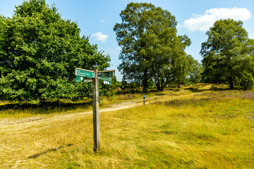 Ein herrliche Wanderung durch die einzigartige und farbenfrohe Landschaft der Behringer Heide - Bispingen - Niedersachsen - Deutschland