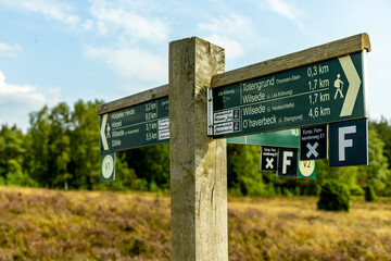 Ein herrliche Wanderung durch die einzigartige und farbenfrohe Landschaft der Behringer Heide - Bispingen - Niedersachsen - Deutschland