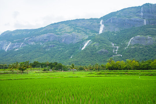 Scenic Kollengode Village with Nelliyampathy Mountains and Seetharkundu Waterfalls