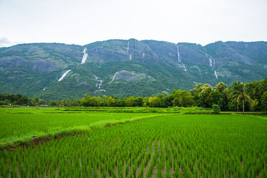 Scenic Kollengode Village with Nelliyampathy Mountains and Seetharkundu Waterfalls