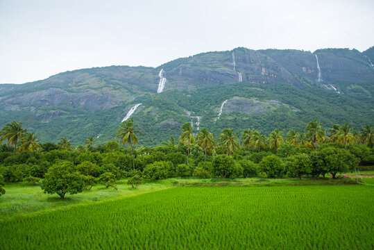Scenic Kollengode Village with Nelliyampathy Mountains and Seetharkundu Waterfalls