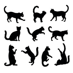Cat vector silhouette black color illustration