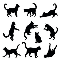 Cat vector silhouette black color illustration