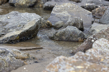 Stones on the beach