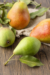 New ripe pears harvest. Fresh green and yellow red organic pears with branches and leaves on linen napkin on wooden table