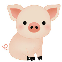 cute pig