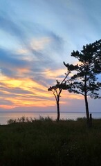 sunset in the forest