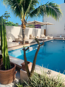 swimming pool in tropical resort